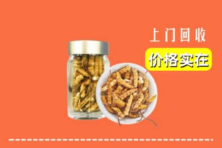 杭州建德市回收散虫草