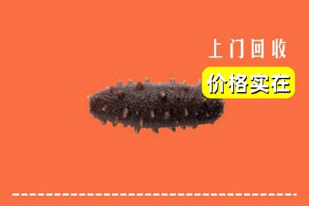 杭州建德市回收海参