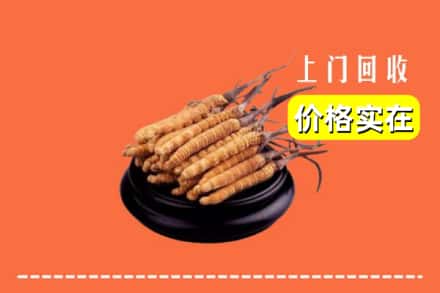 杭州建德市回收冬虫夏草